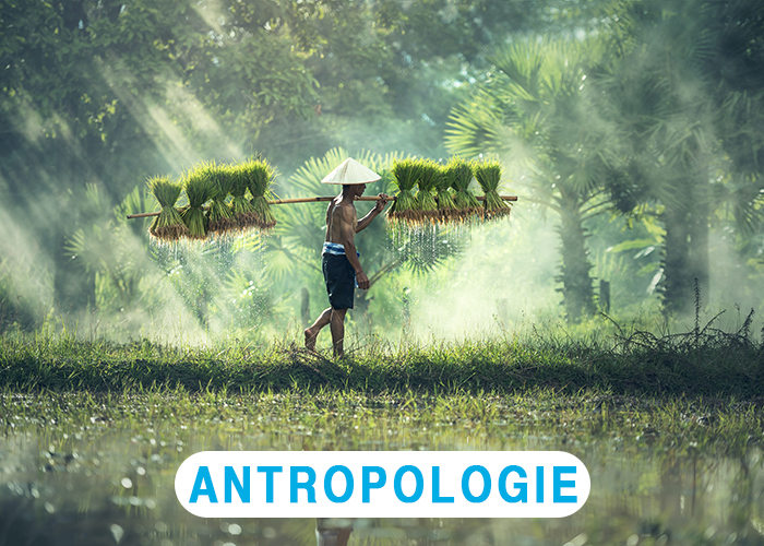 antropologie